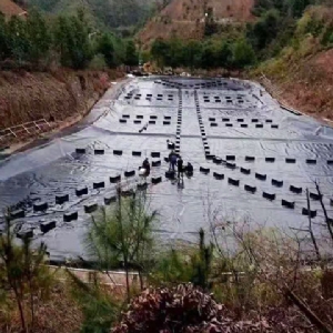垃圾填埋场调节池防渗膜