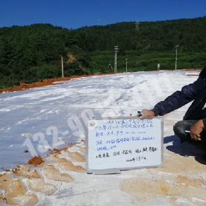 有纺土工布