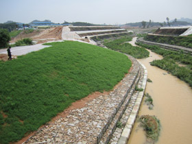 洛克沃毯